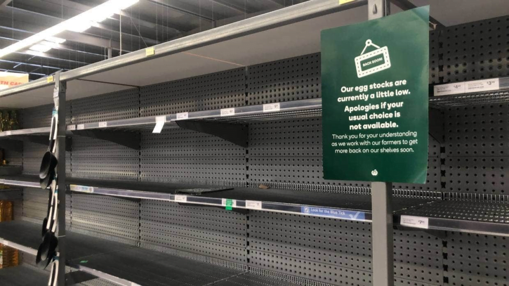 The phaseout of caged eggs causes an egg shortage in New Zealand